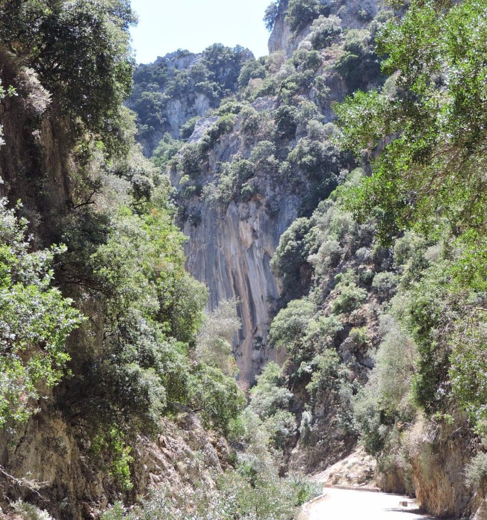 Theriso Gorge